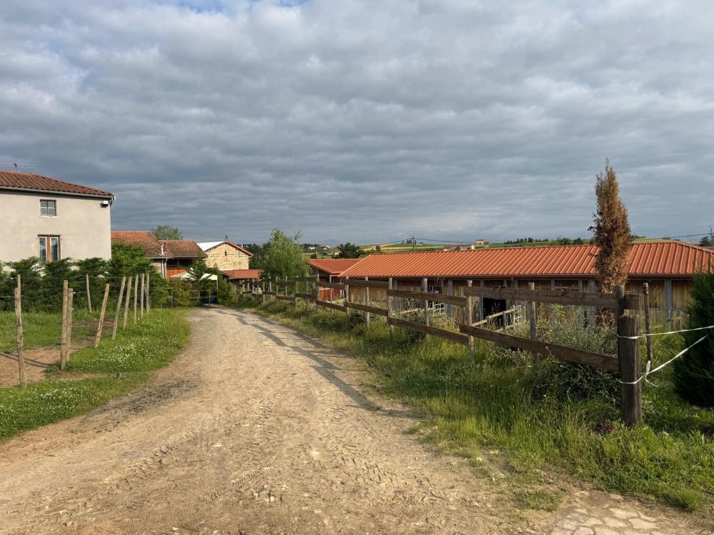 centre equestre ferme du batailly