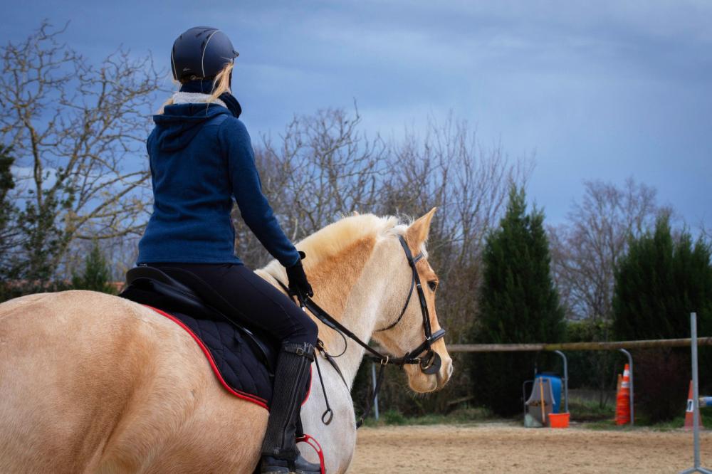 cours equitation