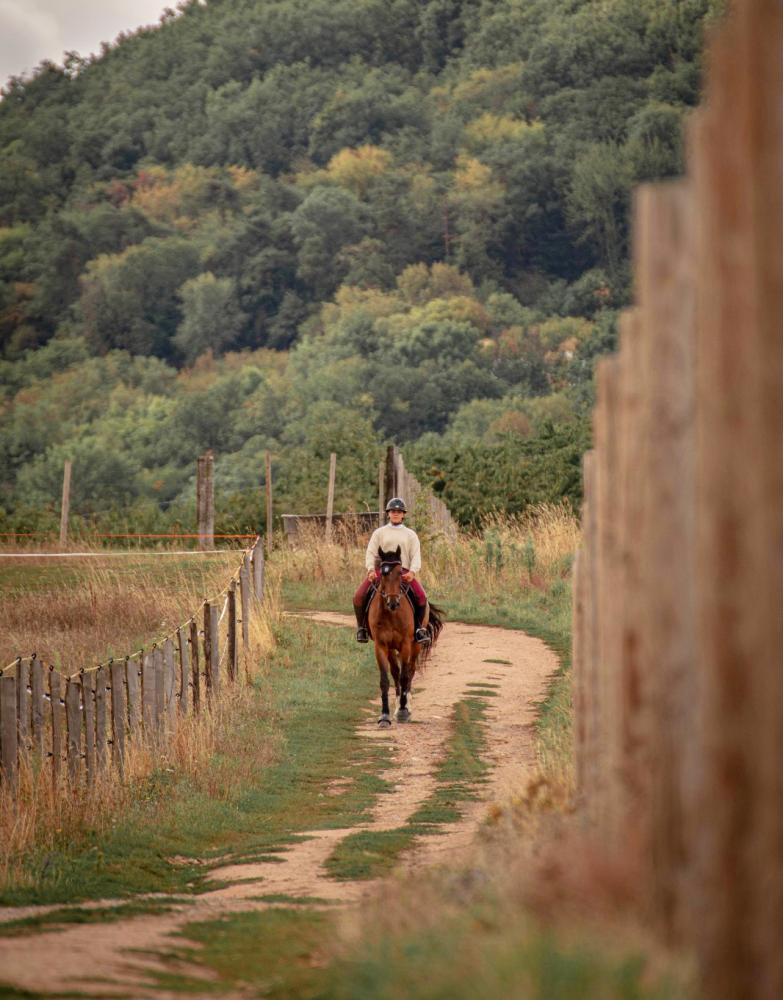 cavaliere sur un chemin