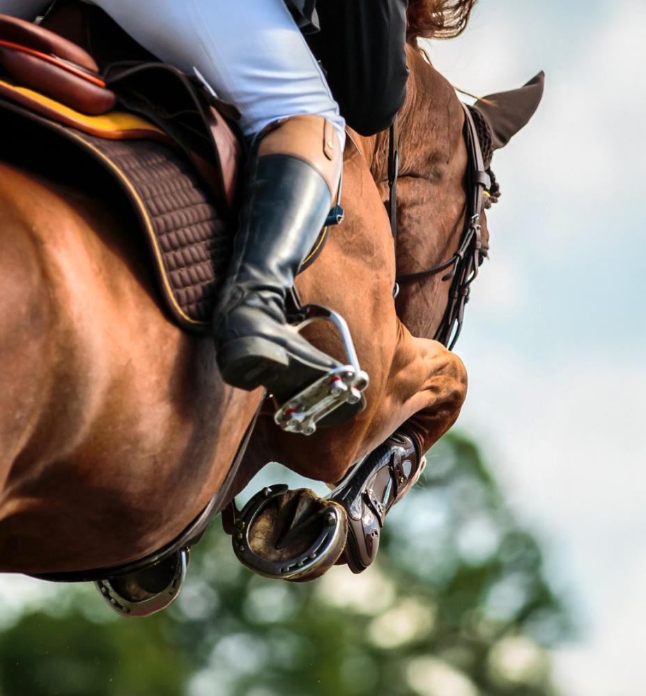 saut obstacle competition