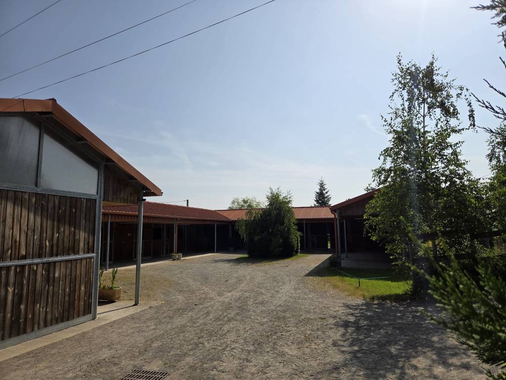 WhatsApp Image 2025-09-04 at 20.03.11 (2)