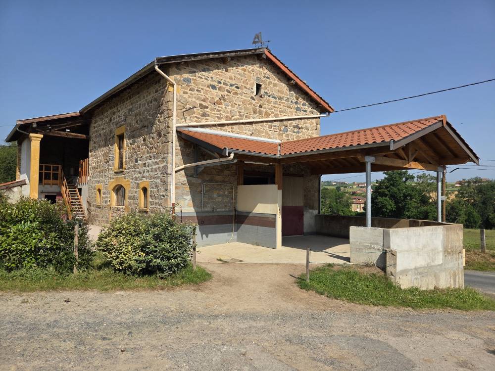 WhatsApp Image 2025-09-04 at 20.03.12 (1)